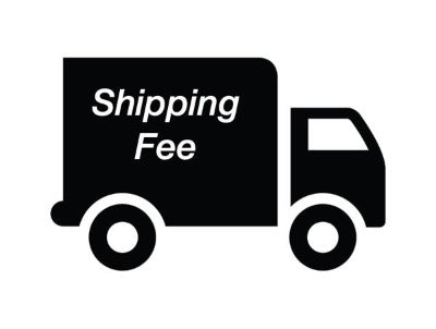 International Shipping Fee