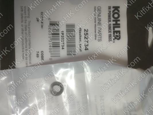 Kohler O-Ring 1 Piece 252734